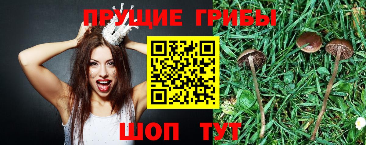 Псилоцибиновые грибы Magic Shrooms Таганрог