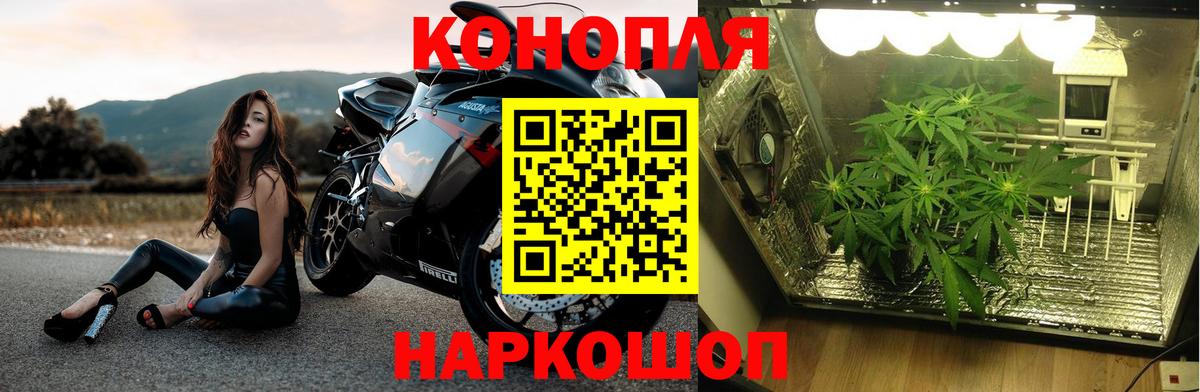 Конопля SATIVA & INDICA Таганрог
